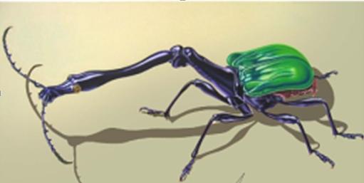 Bild KÄFER 120x40cm