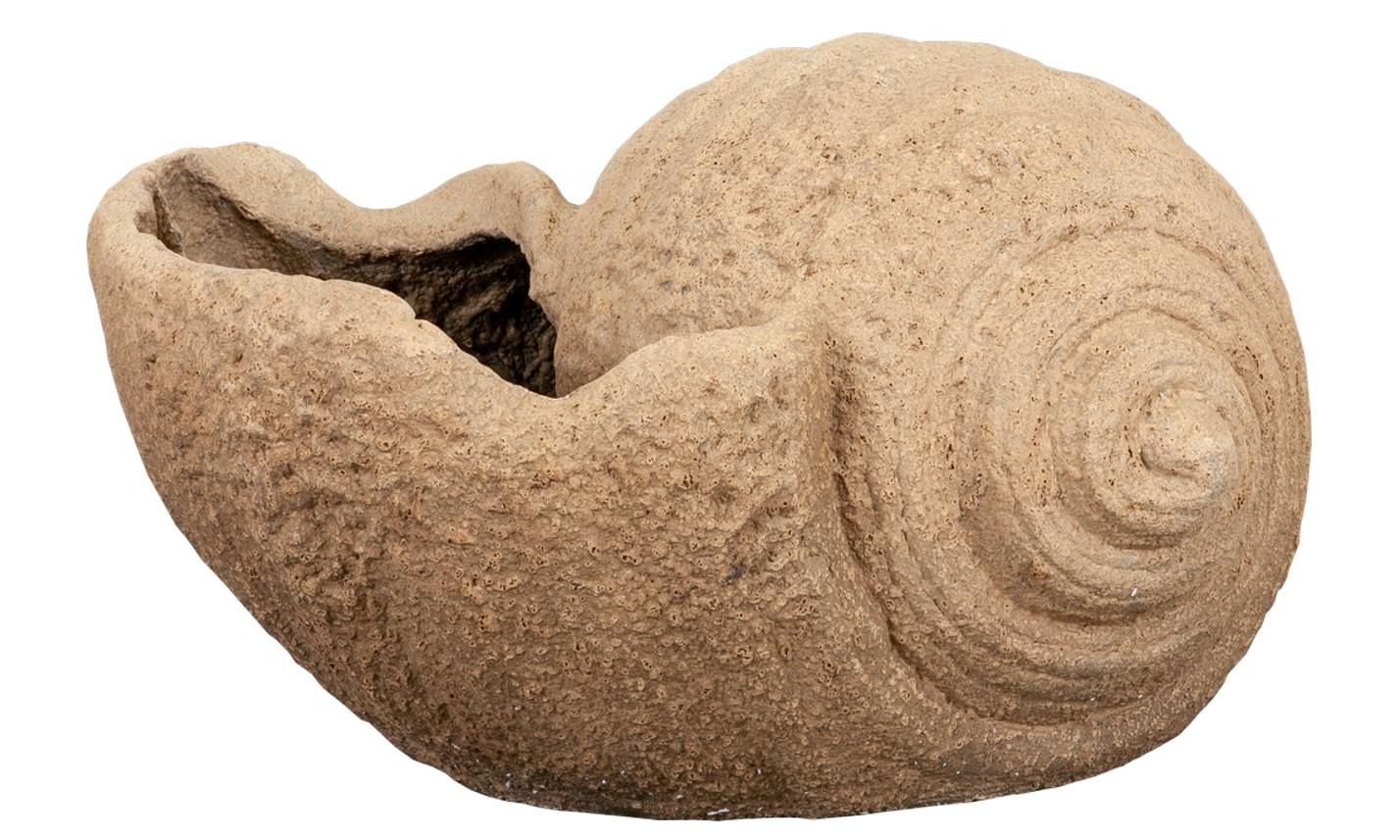 Deko-MUSCHEL 50x34x27cm